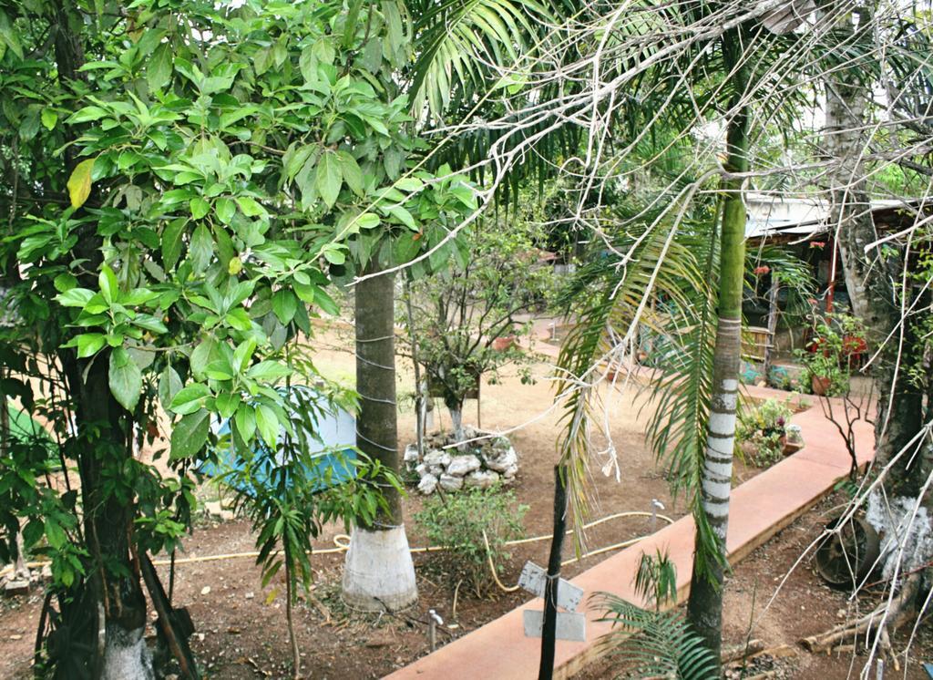 Yaxche Centro Hostal Y Camping Bacalar Zewnętrze zdjęcie