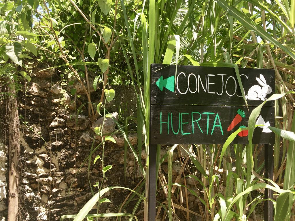 Yaxche Centro Hostal Y Camping Bacalar Zewnętrze zdjęcie